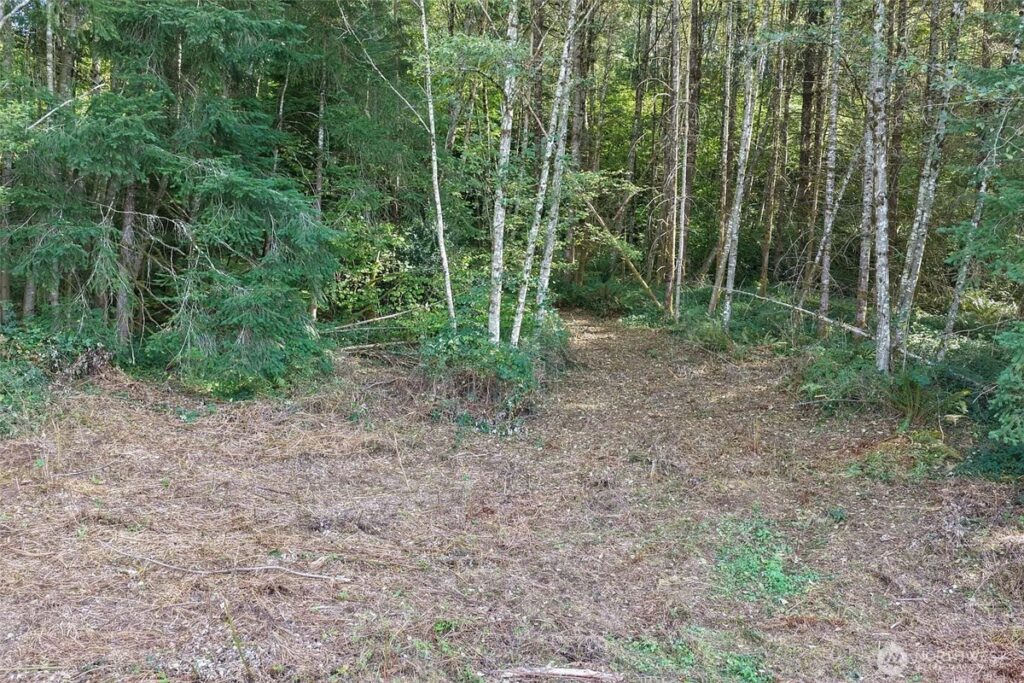 Property photo for land for sale in Clark County Washington