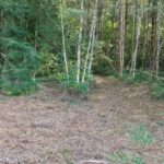 Property photo for land for sale in Clark County Washington