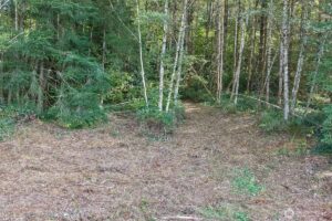 Property photo for land for sale in Clark County Washington
