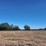 Property photo for land for sale in Duplin County North Carolina