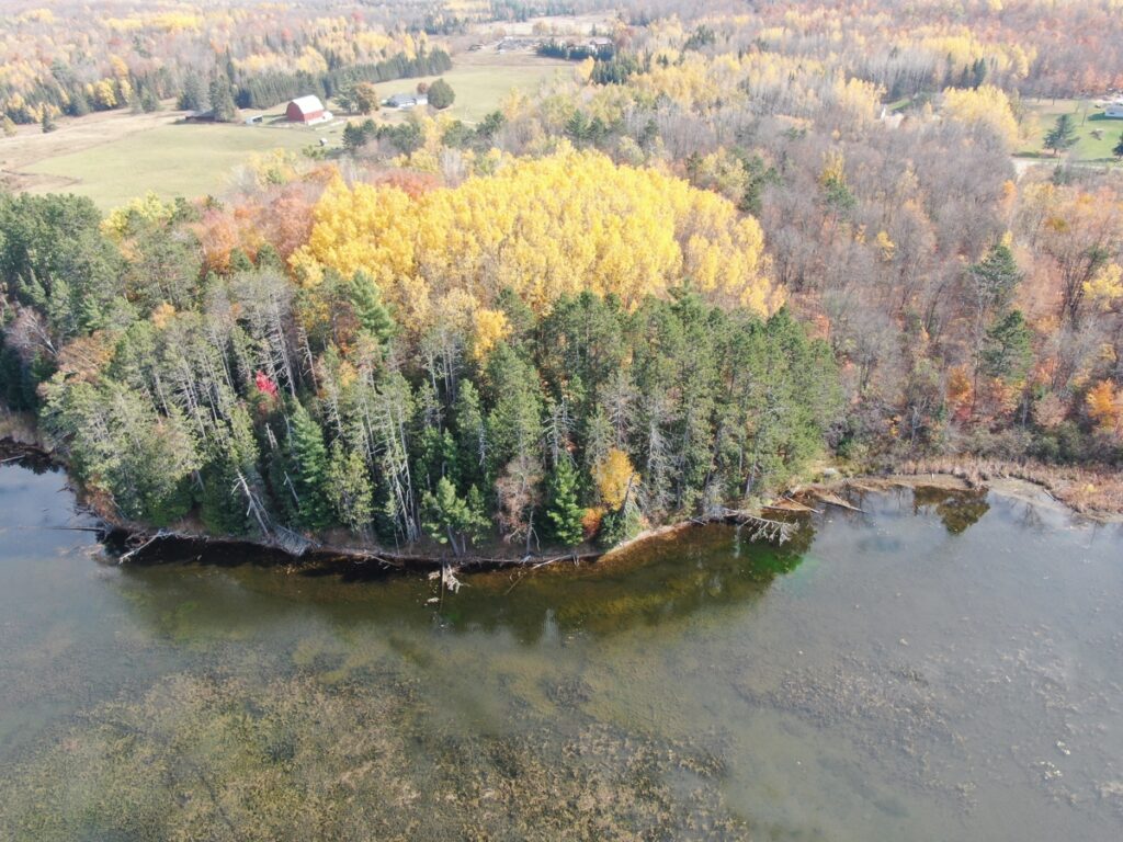 Property photo for land for sale in Forest County Wisconsin