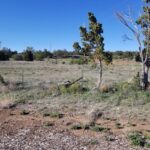 Property photo for land for sale in Santa Fe County New Mexico