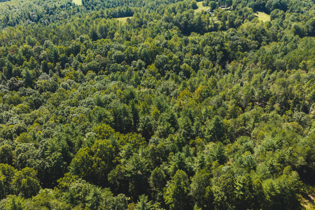 Property photo for land for sale in Wilkes County North Carolina