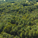 Property photo for land for sale in Wilkes County North Carolina