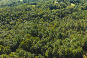 Property photo for land for sale in Wilkes County North Carolina