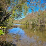 Property photo for land for sale in Alleghany County Virginia