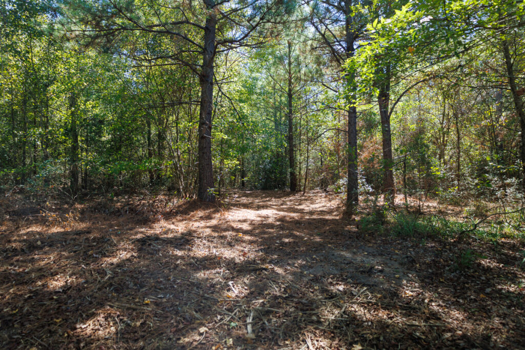 Property photo for land for sale in Upshur County Texas