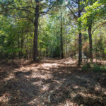 Property photo for land for sale in Upshur County Texas