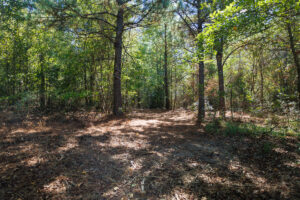 Property photo for land for sale in Upshur County Texas