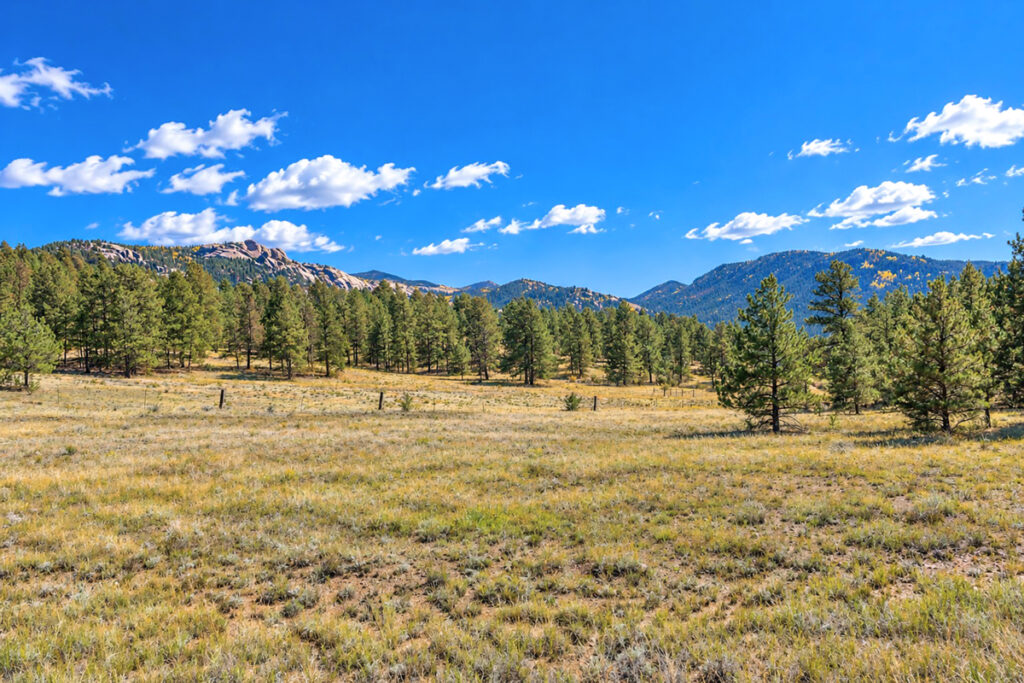 Property photo for land for sale in Teller County Colorado
