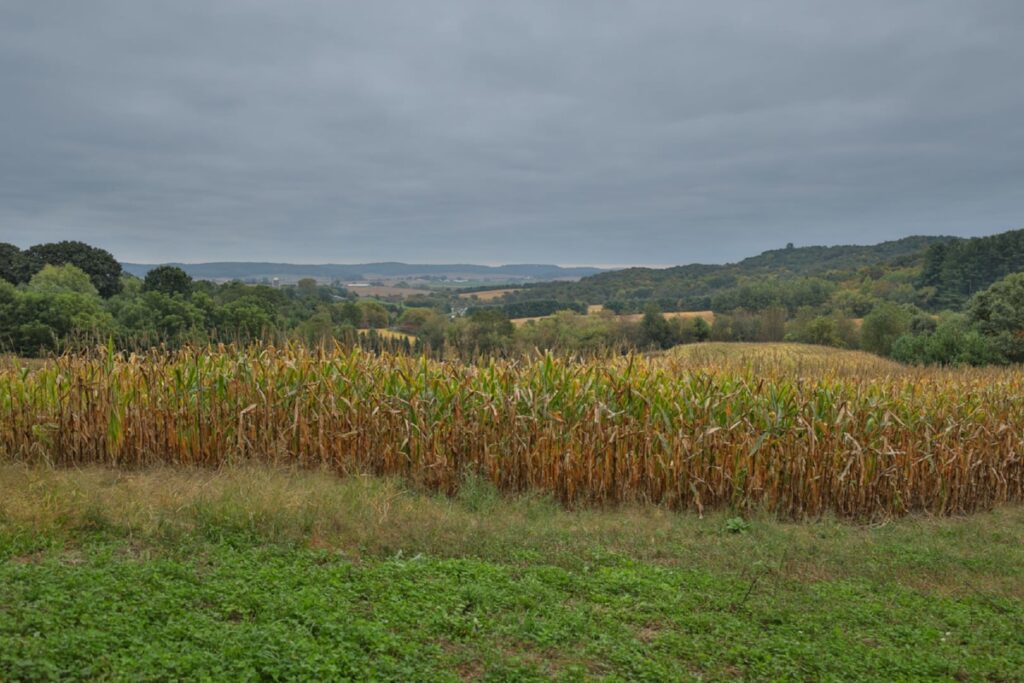 308e1e3c-1009-49dd-aa32-10c077a804bb.jpg