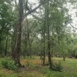 Property photo for land for sale in Suwannee County Florida