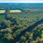 Property photo for land for sale in Levy County Florida