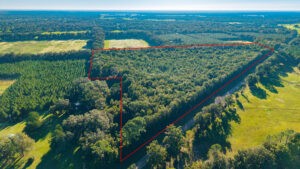 Property photo for land for sale in Levy County Florida