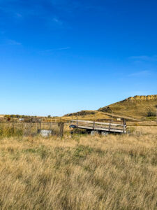 Property photo for land for sale in Petroleum County Montana