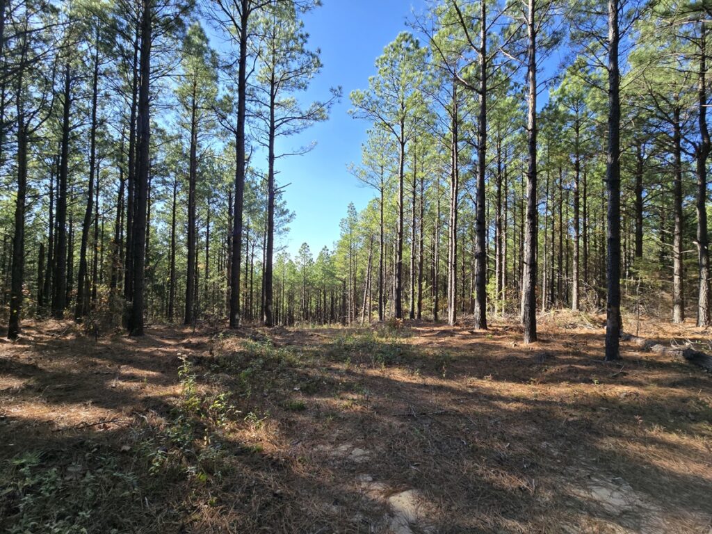 Property photo for land for sale in Le Flore County Oklahoma