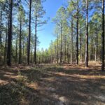 Property photo for land for sale in Le Flore County Oklahoma