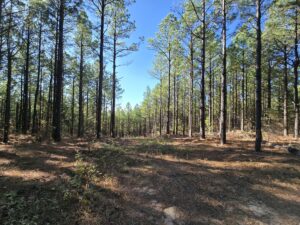 Property photo for land for sale in Le Flore County Oklahoma