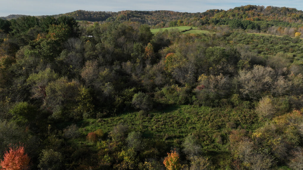3570ebef-5810-4e16-86a4-b7281b1f44ef.jpg