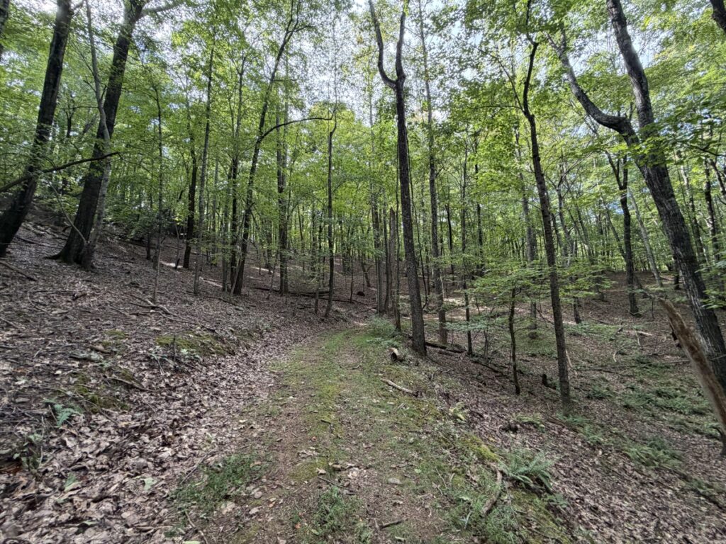 Property photo for land for sale in Patrick County Virginia