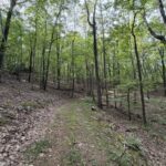 Property photo for land for sale in Patrick County Virginia