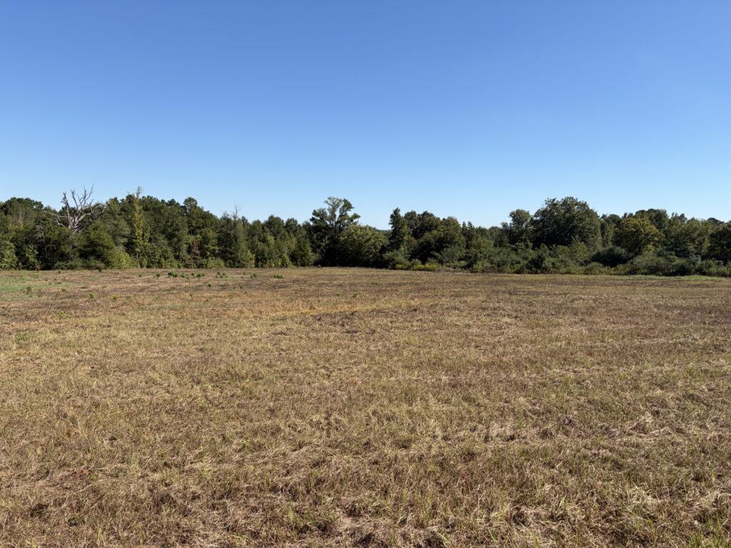 Property photo for land for sale in Cass County Texas