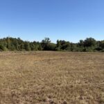 Property photo for land for sale in Cass County Texas