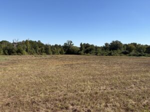 Property photo for land for sale in Cass County Texas