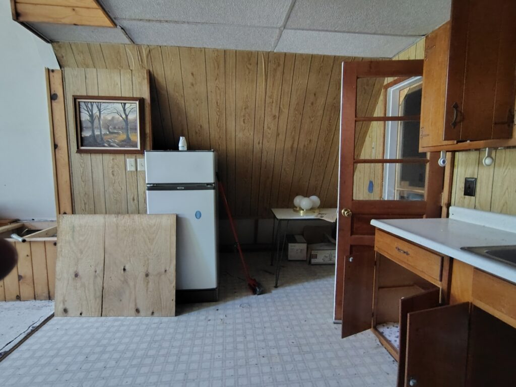 3802e781-f3a8-4838-9ffe-b9e298645376.jpg