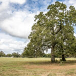 Property photo for land for sale in Washington County Texas