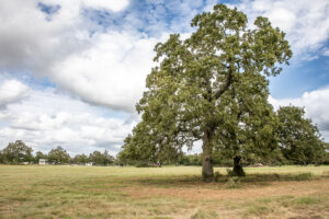 Property photo for land for sale in Washington County Texas
