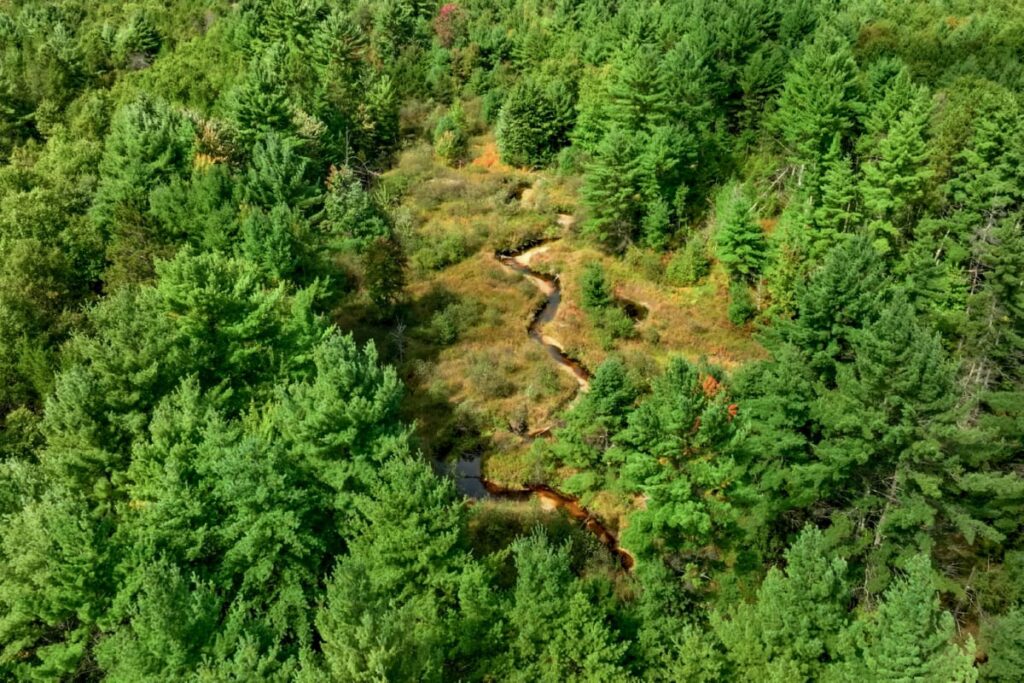 Property photo for land for sale in Eau Claire County Wisconsin