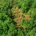 Property photo for land for sale in Eau Claire County Wisconsin
