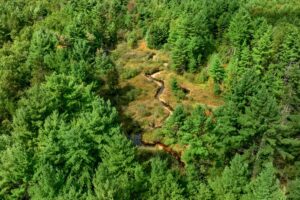 Property photo for land for sale in Eau Claire County Wisconsin