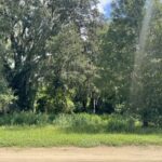Property photo for land for sale in Hamilton County Florida
