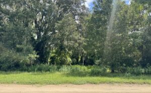Property photo for land for sale in Hamilton County Florida