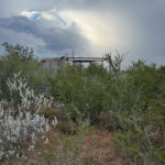 Property photo for land for sale in Live Oak County Texas