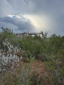 Property photo for land for sale in Live Oak County Texas