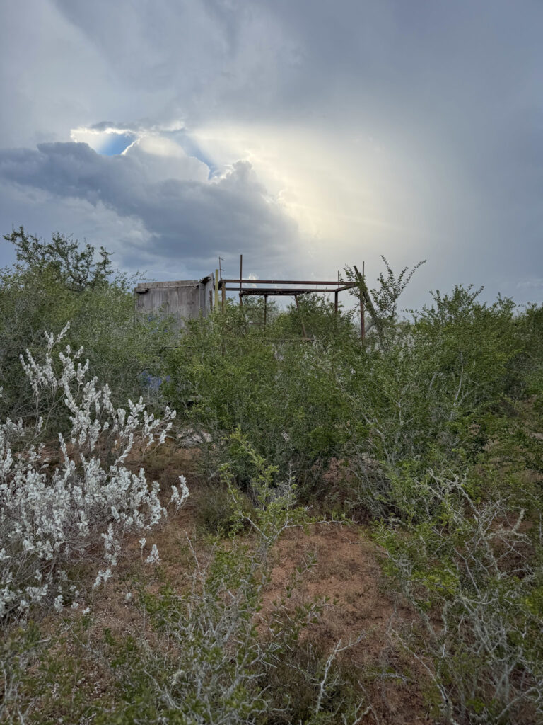 Property photo for land for sale in Live Oak County Texas