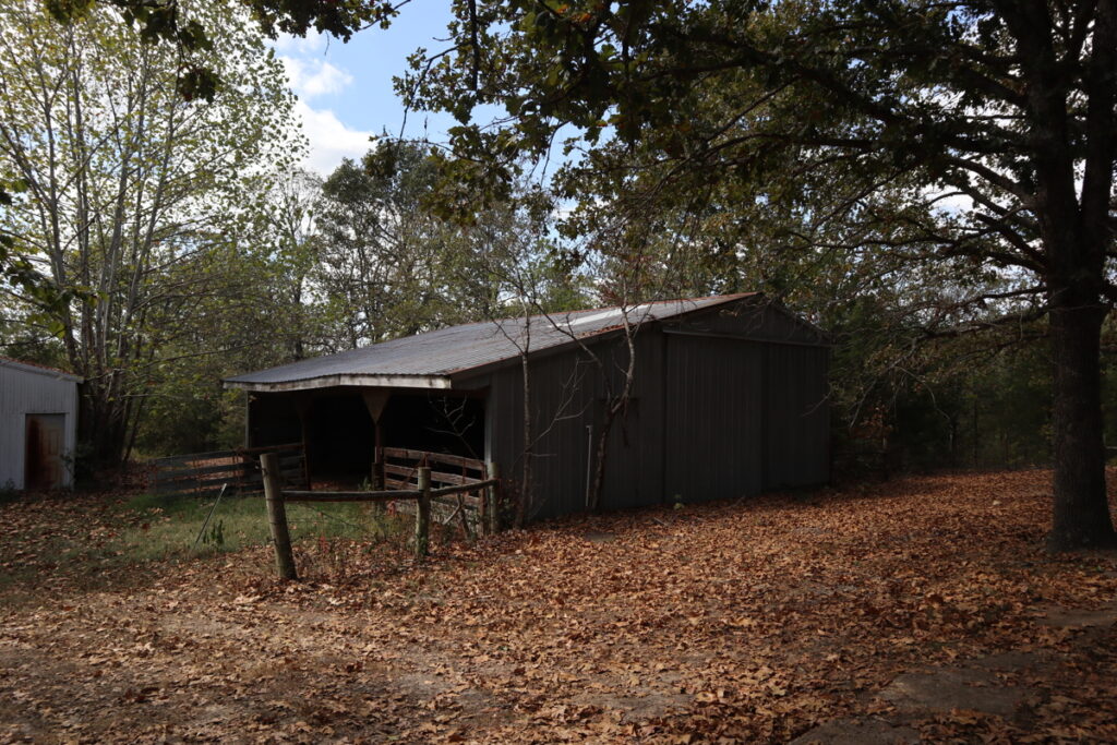 3d170b49-f25f-465b-8277-8eb2ca9889c6.jpg