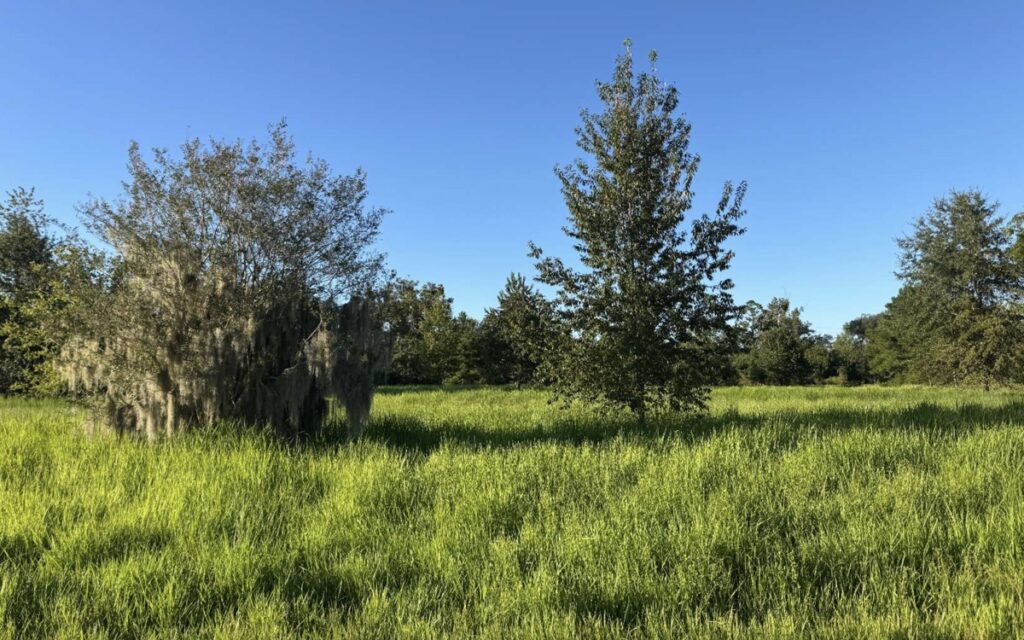 Property photo for land for sale in Hamilton County Florida