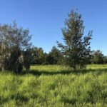 Property photo for land for sale in Hamilton County Florida