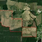 Property photo for land for sale in Allen County Louisiana
