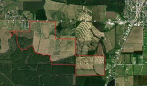 Property photo for land for sale in Allen County Louisiana