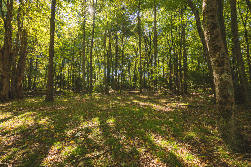 Property photo for land for sale in Pulaski County Virginia