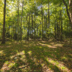 Property photo for land for sale in Pulaski County Virginia