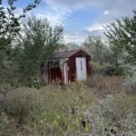 Property photo for land for sale in Live Oak County Texas