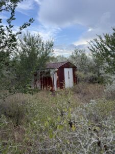 Property photo for land for sale in Live Oak County Texas
