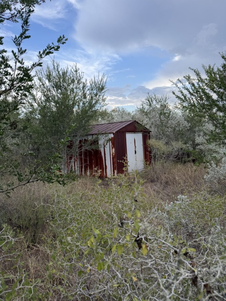 Property photo for land for sale in Live Oak County Texas