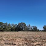 Property photo for land for sale in Duplin County North Carolina